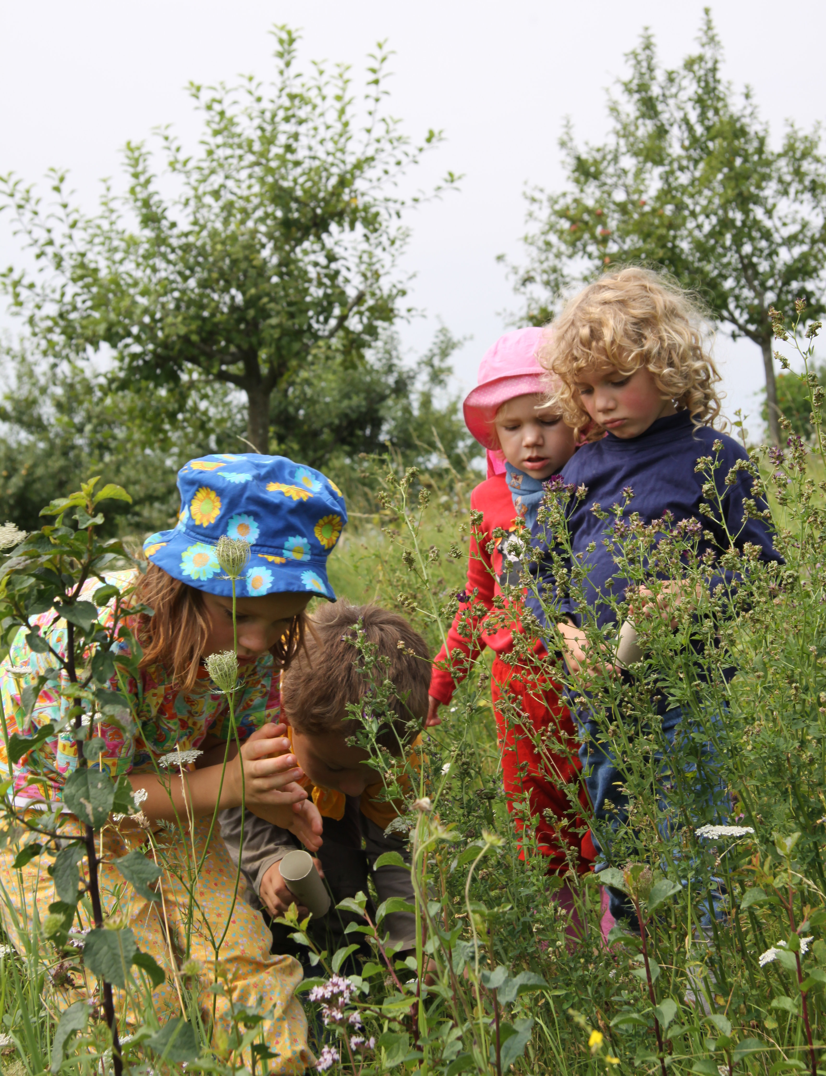 Kindergartenkinder beobachten Schmetterlinge