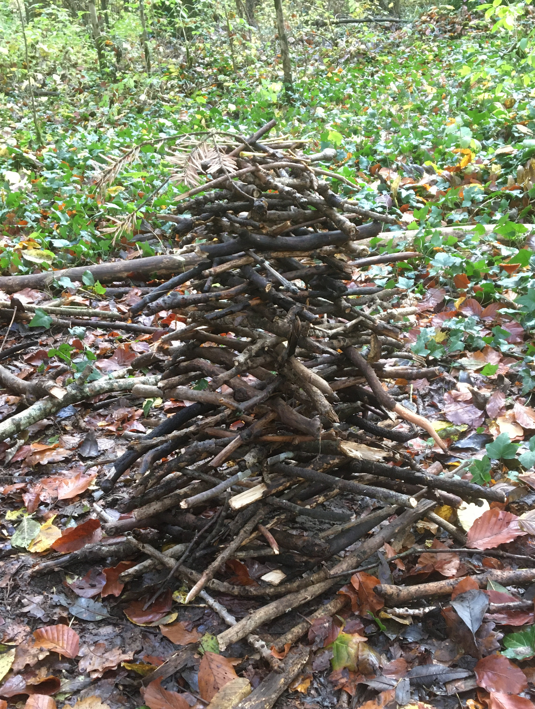 Hier ist Geduld und Konzentrations gefordert, bei dem Wald-Kappla aus Ästen und Stöcken entsteht ein Turm