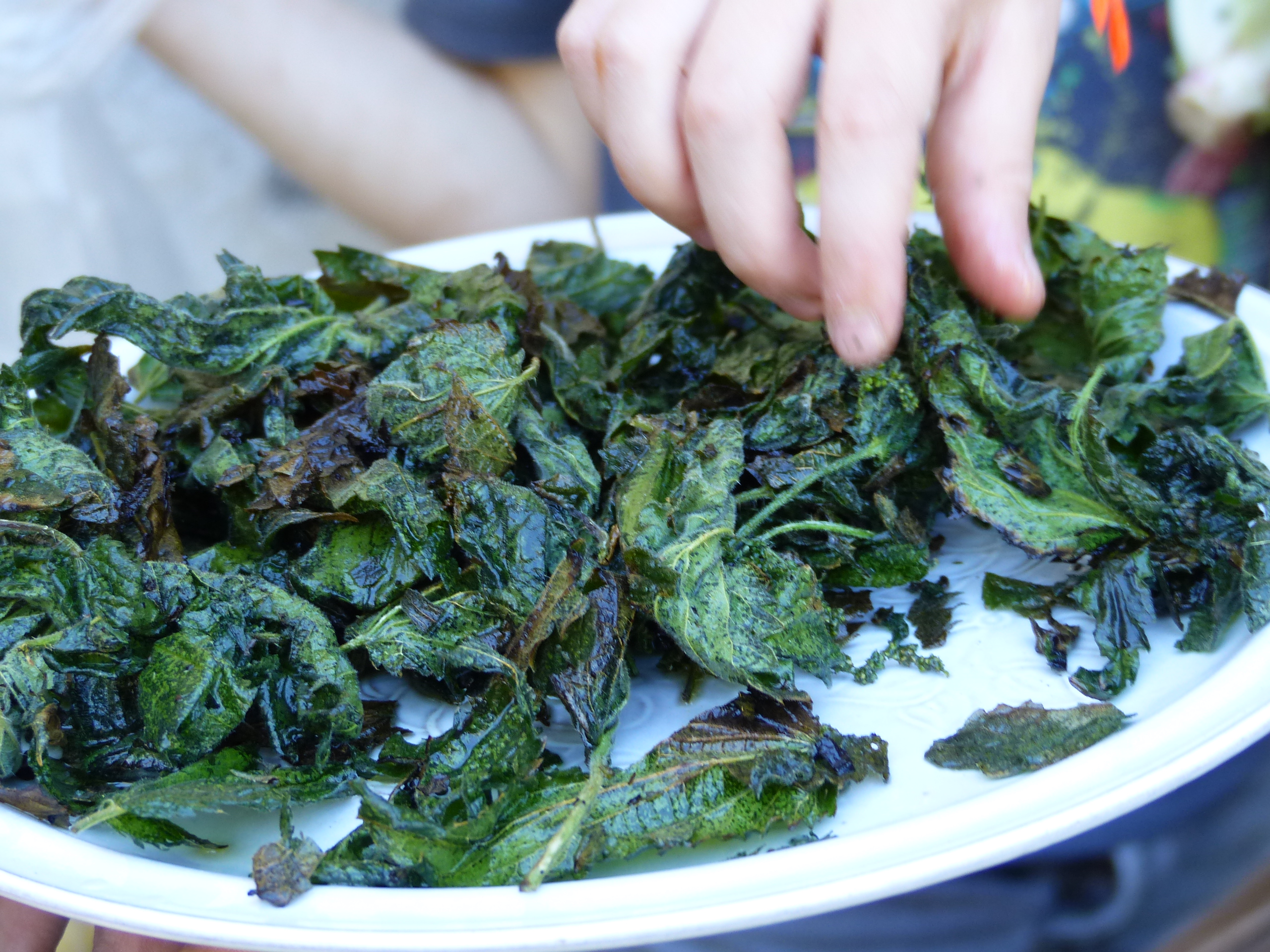 Zubereitung  von Brennnesselchips am offenen Feuer zum Znüni ist für die Schüler und  Schülerinnen eine neue kulinarische Erfahrung
