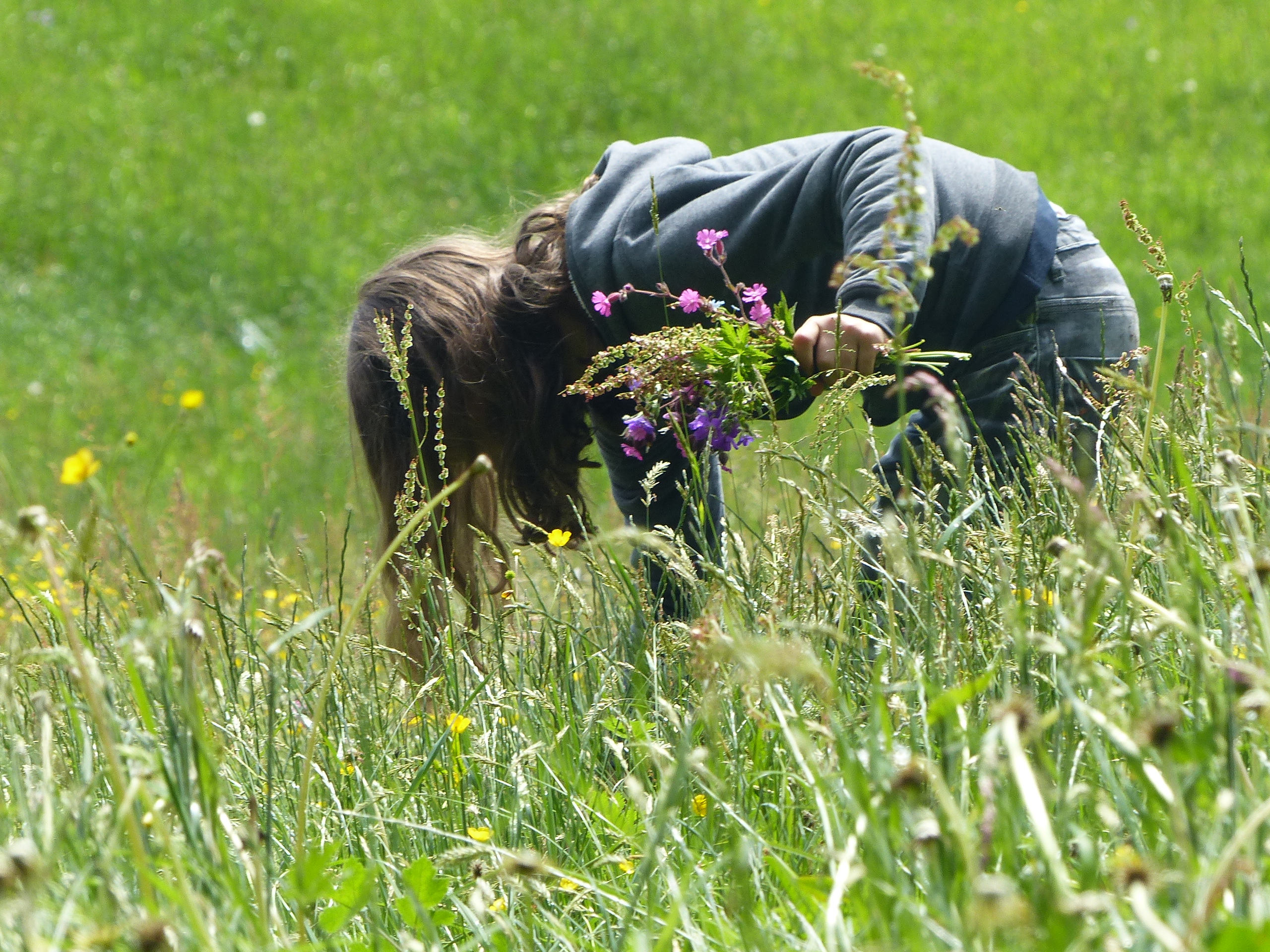 Wie das Mädchen auf dem Foto, sammelte Sabine Simeoni auch als Kind gerne Pflanzen trocknete sie und erstellte eigene Pflanzenbücher