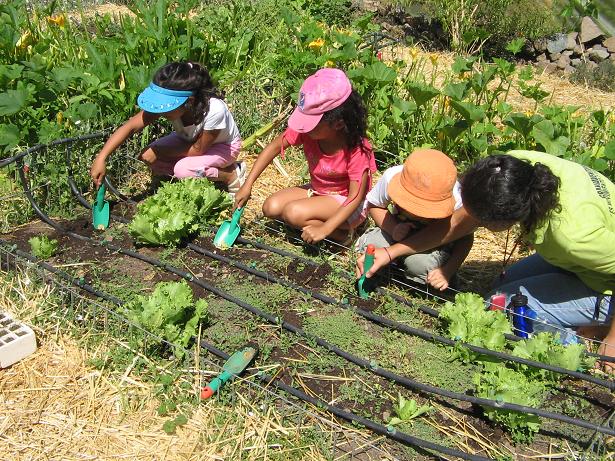Gardens are not just for playing, because children also learn how to deal with nature here. And the most beautiful thing: When the first self-sown plants sprout and their own vegetables are harvested, the little gardeners are happy.