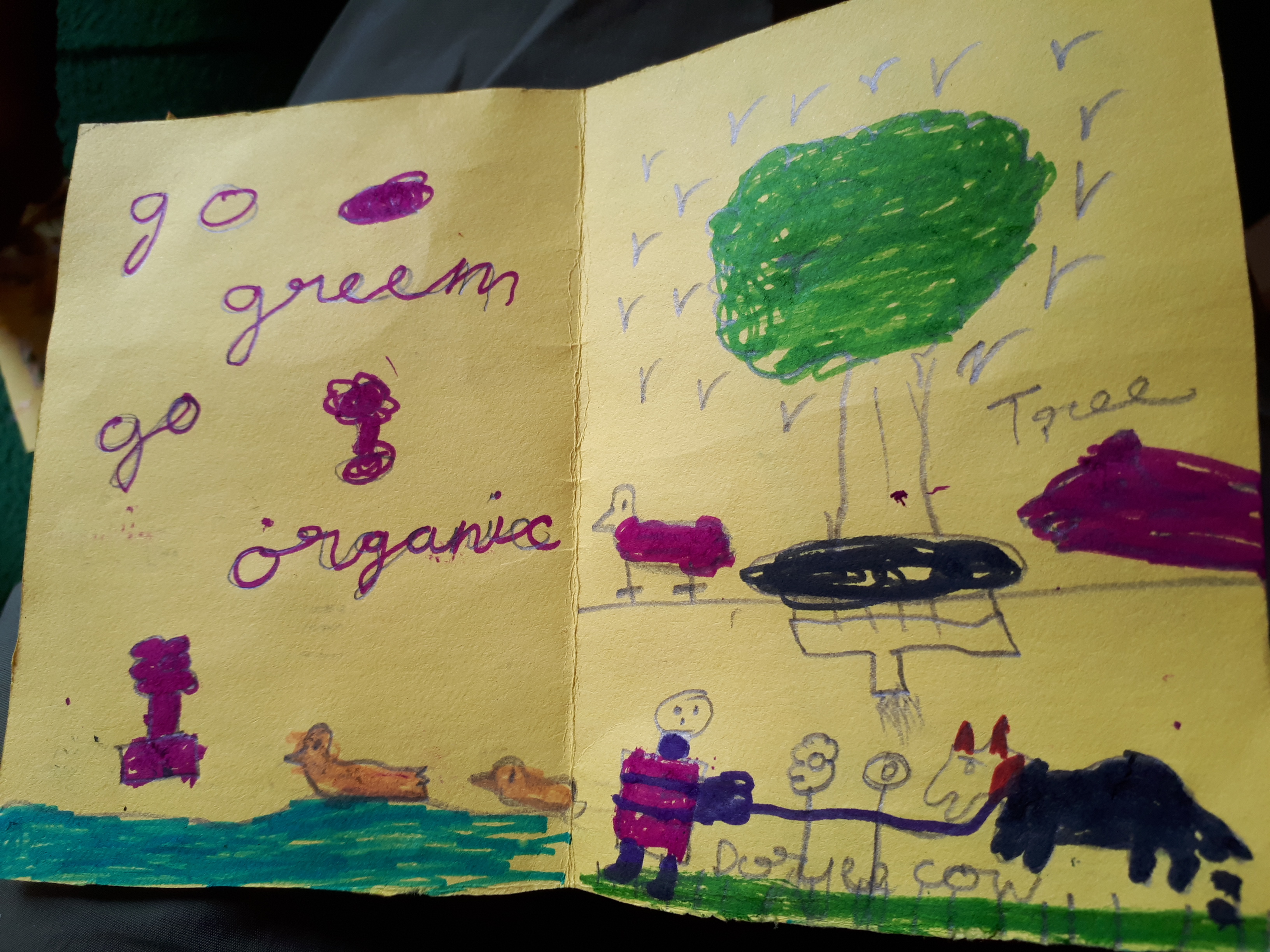 Das Projekt “goGreen goOrganic” fliesst in den Unterricht der Schüler mit ein