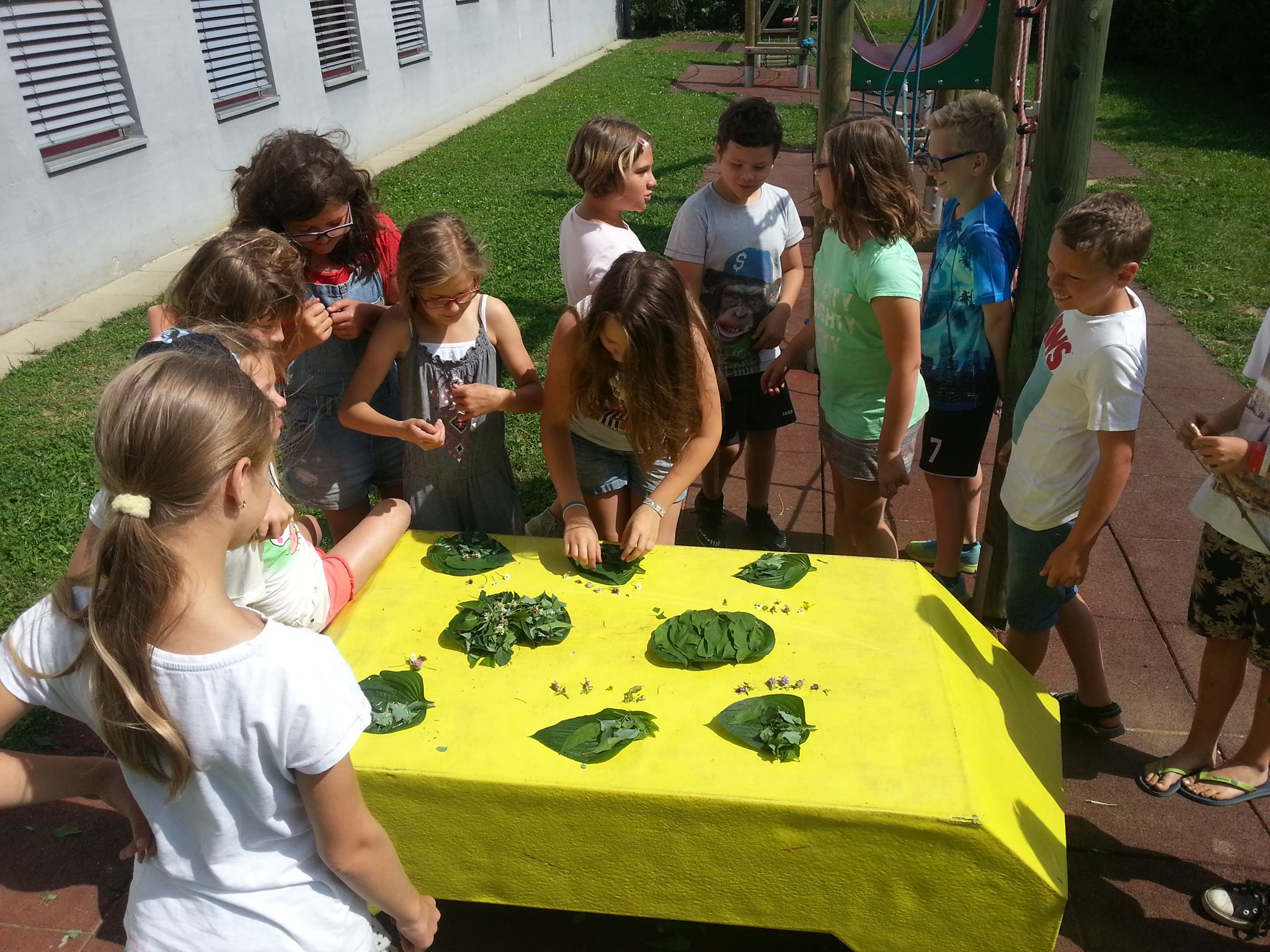 Mit den Methoden vom Naturmentoring verbindet Alexandra Haaji in ihren Projekten die Inhalten vom Friedensstiften. Dabei holt sie die Natur auch ins Haus.