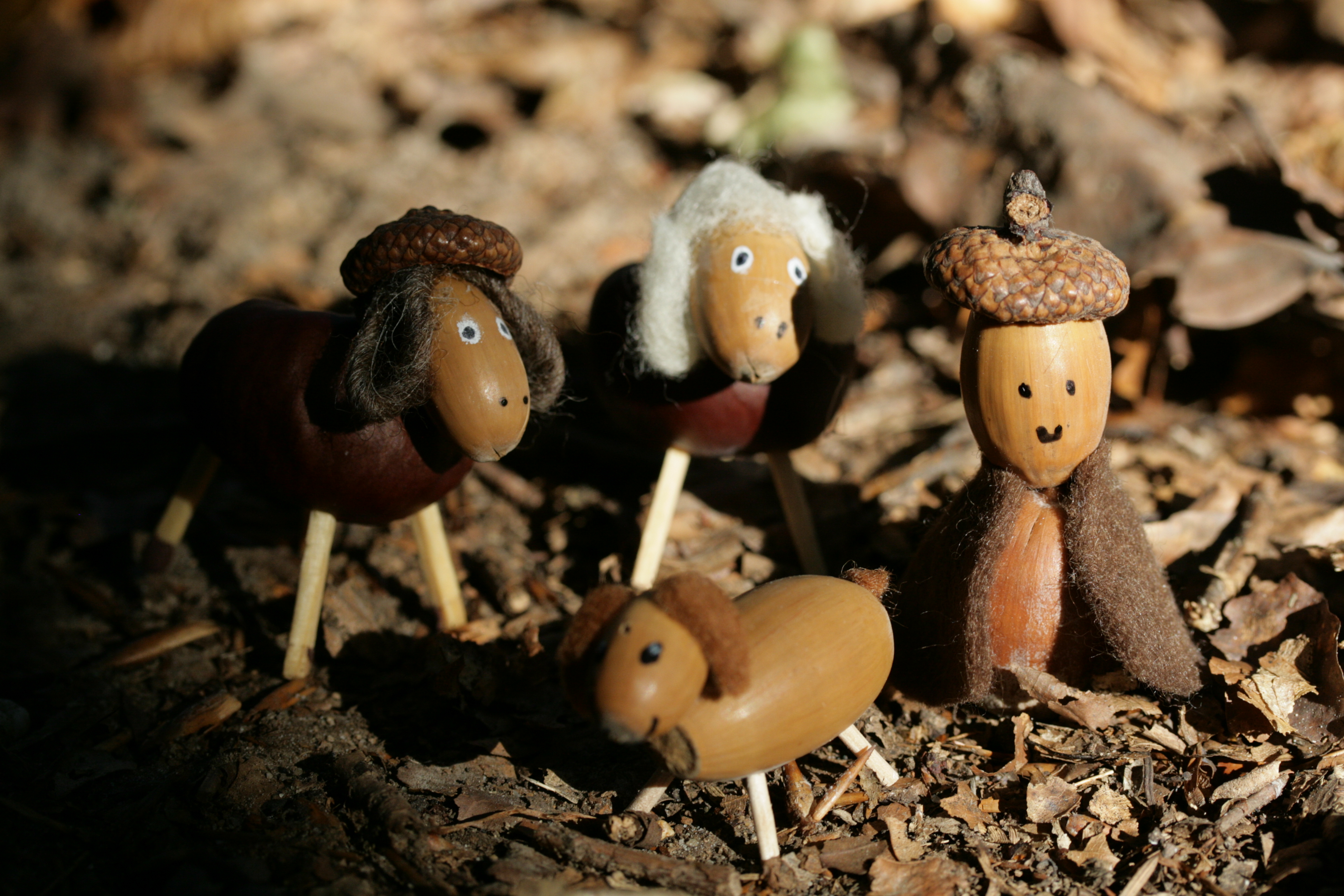Die zauberhafte Welt der kleinen Wesen. Hier nachgebaut mit Eicheln. Die dazu einladen, die Puppenstube in den Wald zu verlegen.