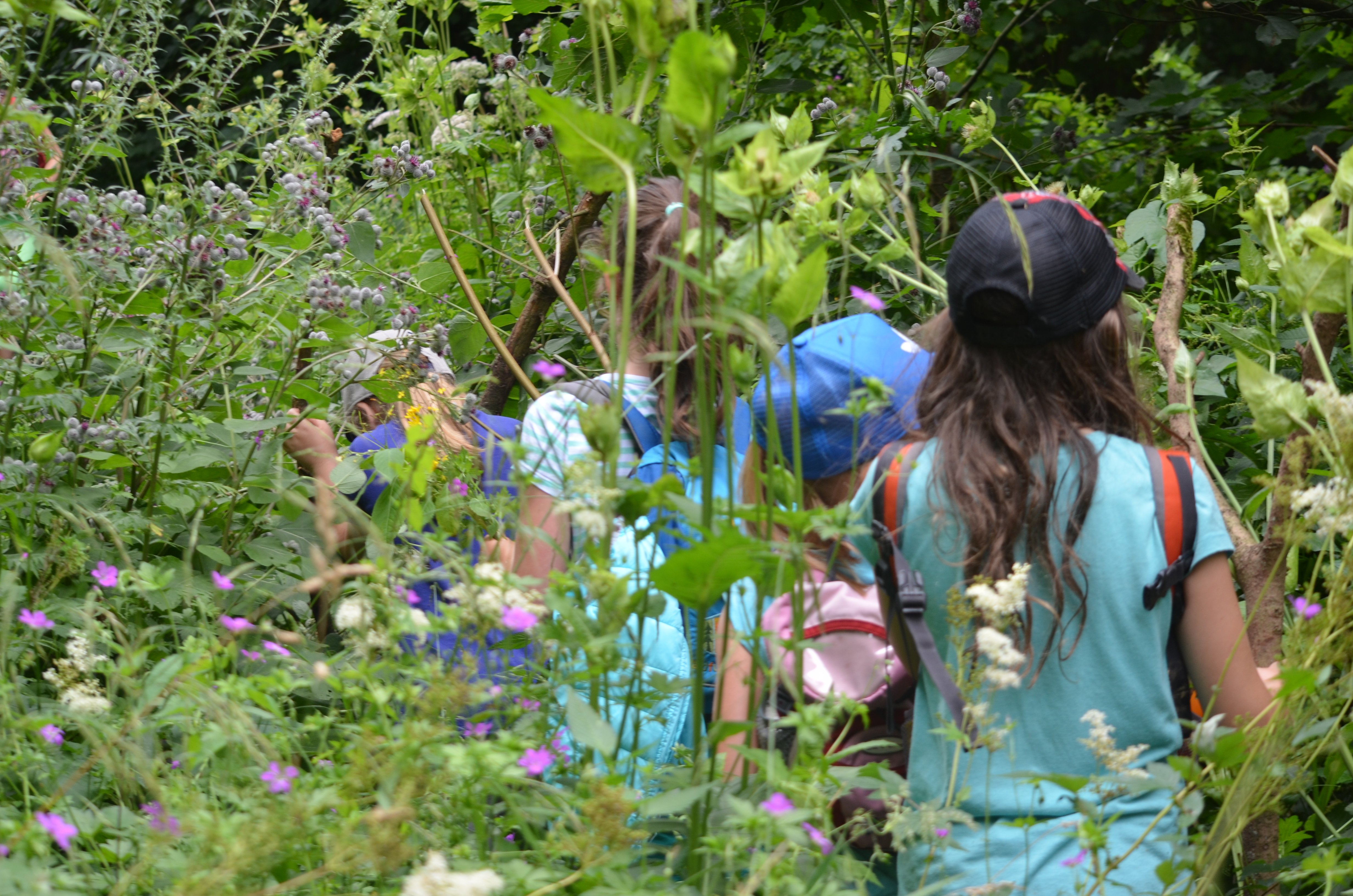 Umherstreifen durch die Natur, spielerisch den Schritt zu verlangsamen, auf die innere Wahrnehmung umzustellen und die Dinge anders beobachten können.