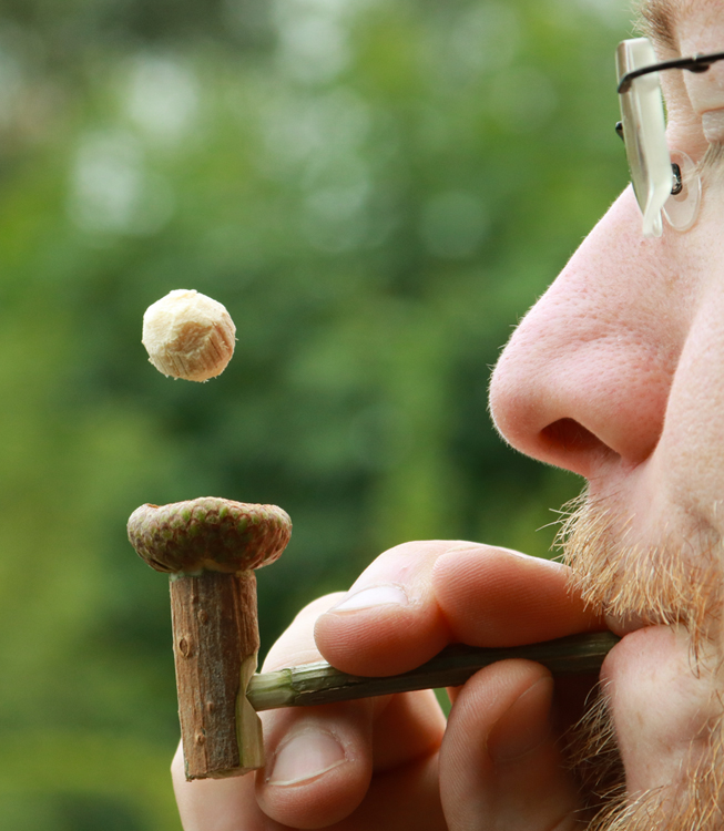 Dieses lustige Spielzeug aus Holunder, die magische Pfeife, trägt in Amerika den Namen «Flipperdinger»