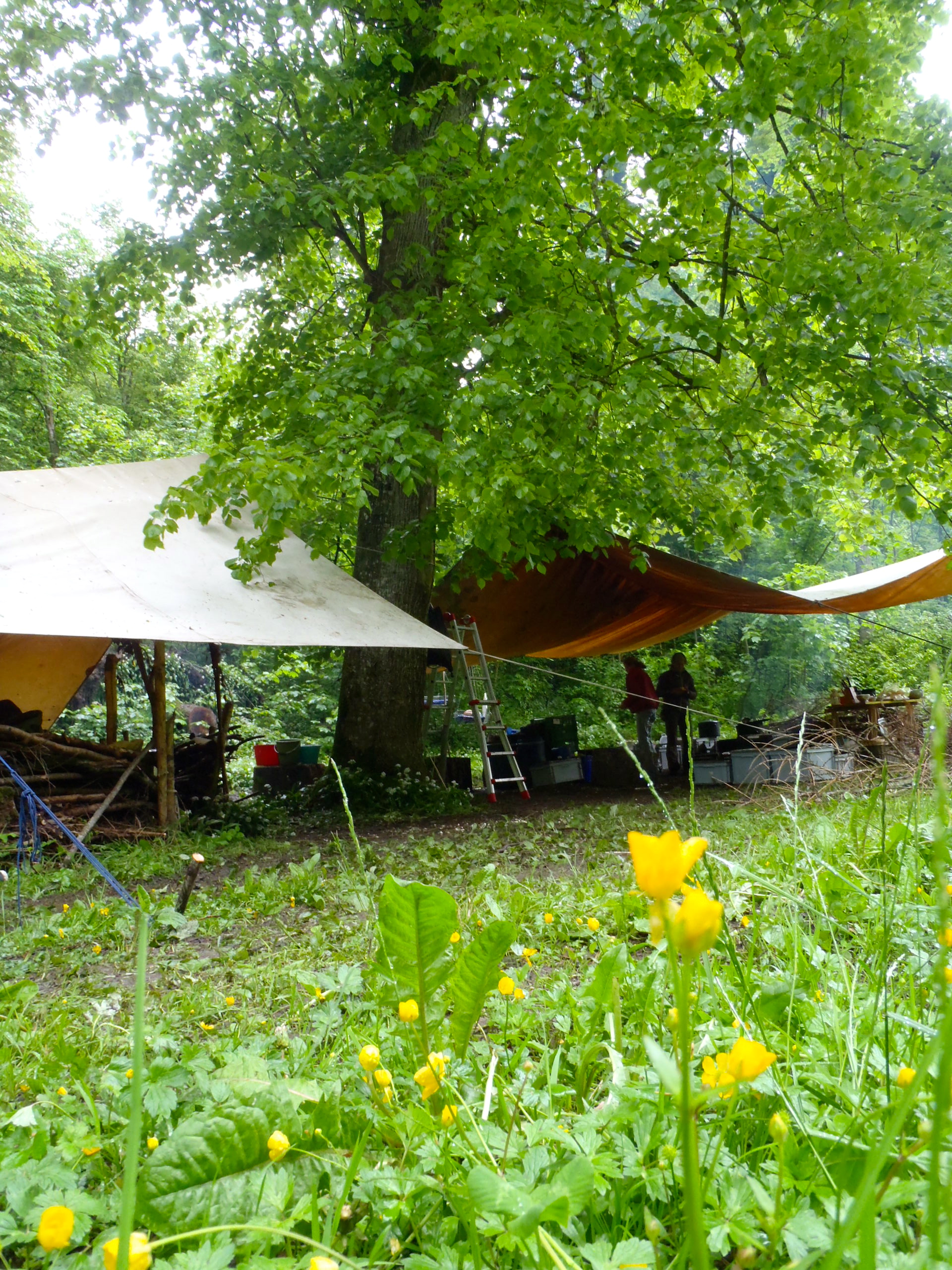 Die Teilnehmenden erwerben praktische Fähigkeiten, sich in der Natur einzurichten.