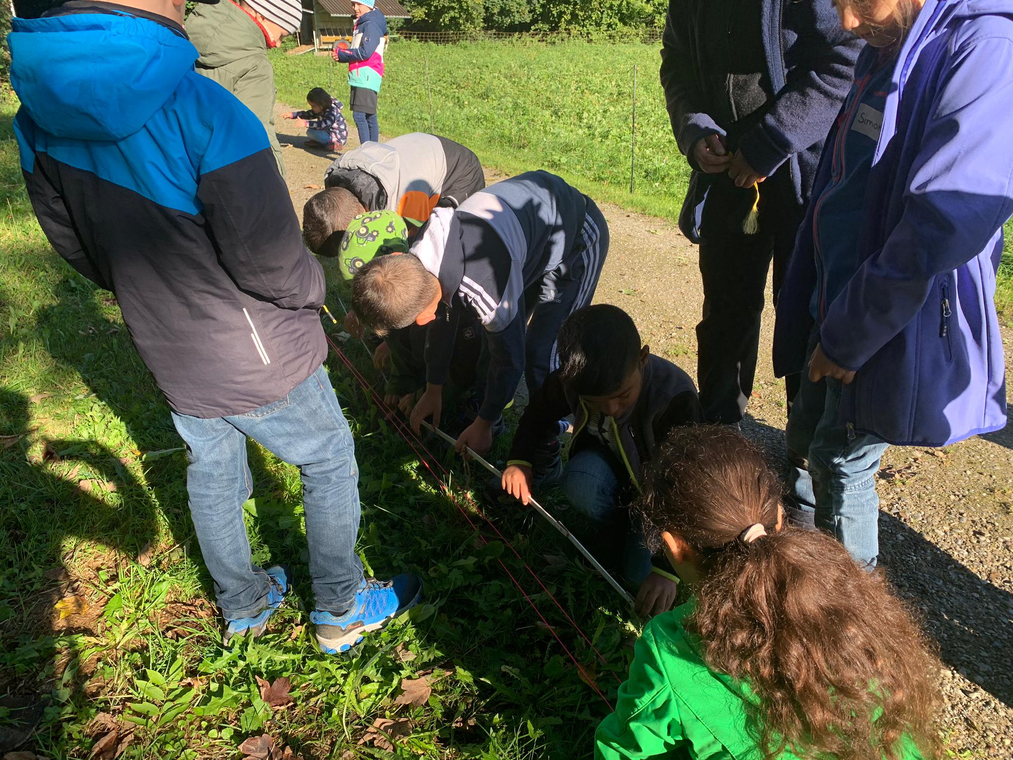 Mittels der Höhenbestimmungsmethode vermessen die Schüler und Schülerinnen die Länge eines Baumes