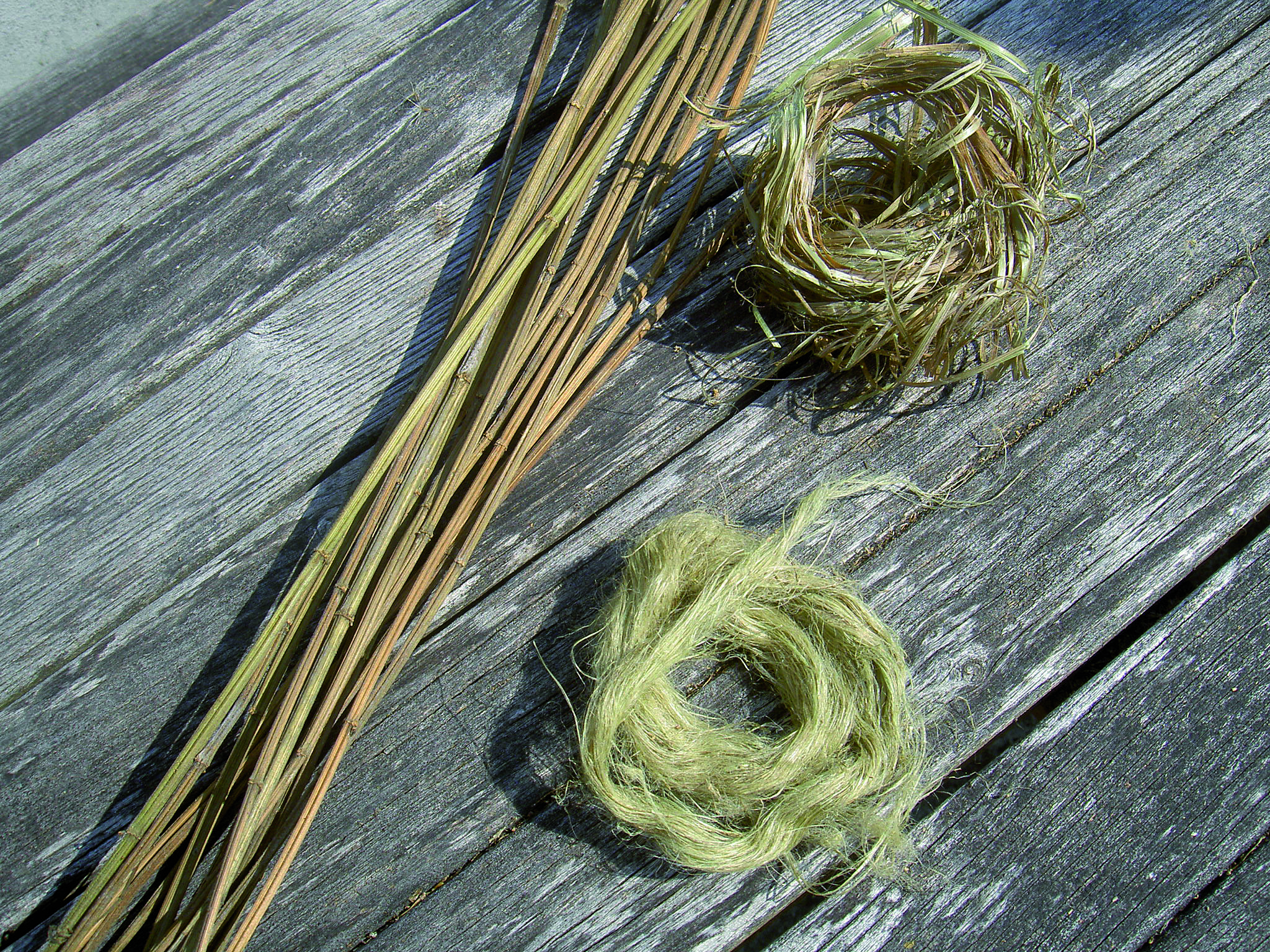 Schritt-für-Schritt wird die Brennnessel zu Faser