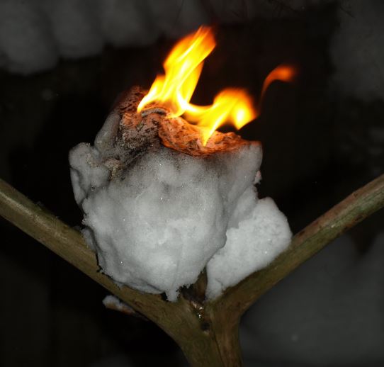 Die Inhalte aus dem Buch «Wildes Naturhandwerk» sollen Mut machen, die Scheu zu verlieren, um sich zu trauen in der Natur unterwegs zu sein