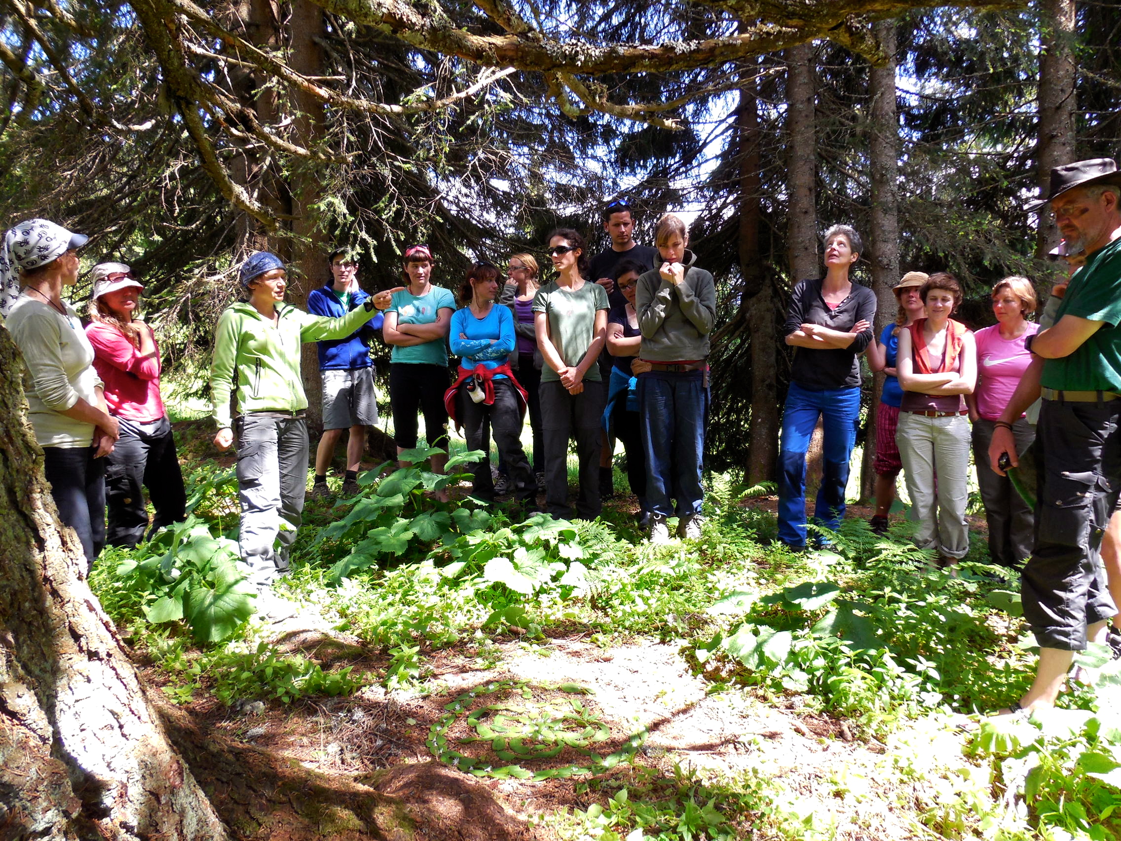 Feld, Wald und Wiese - Erlebnis-, Lebens- und Tagungsraum während der naturpädagogischen Weiterbildung