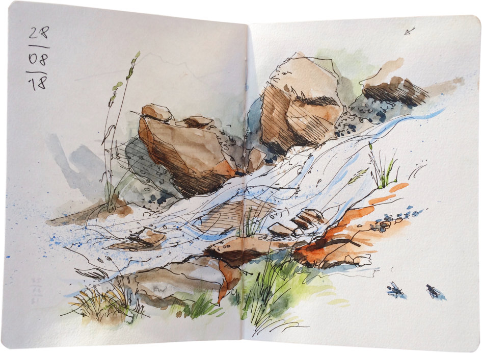 Wasser mit allen Sinnen in deiner Region erleben illustriert von Jens Hübner