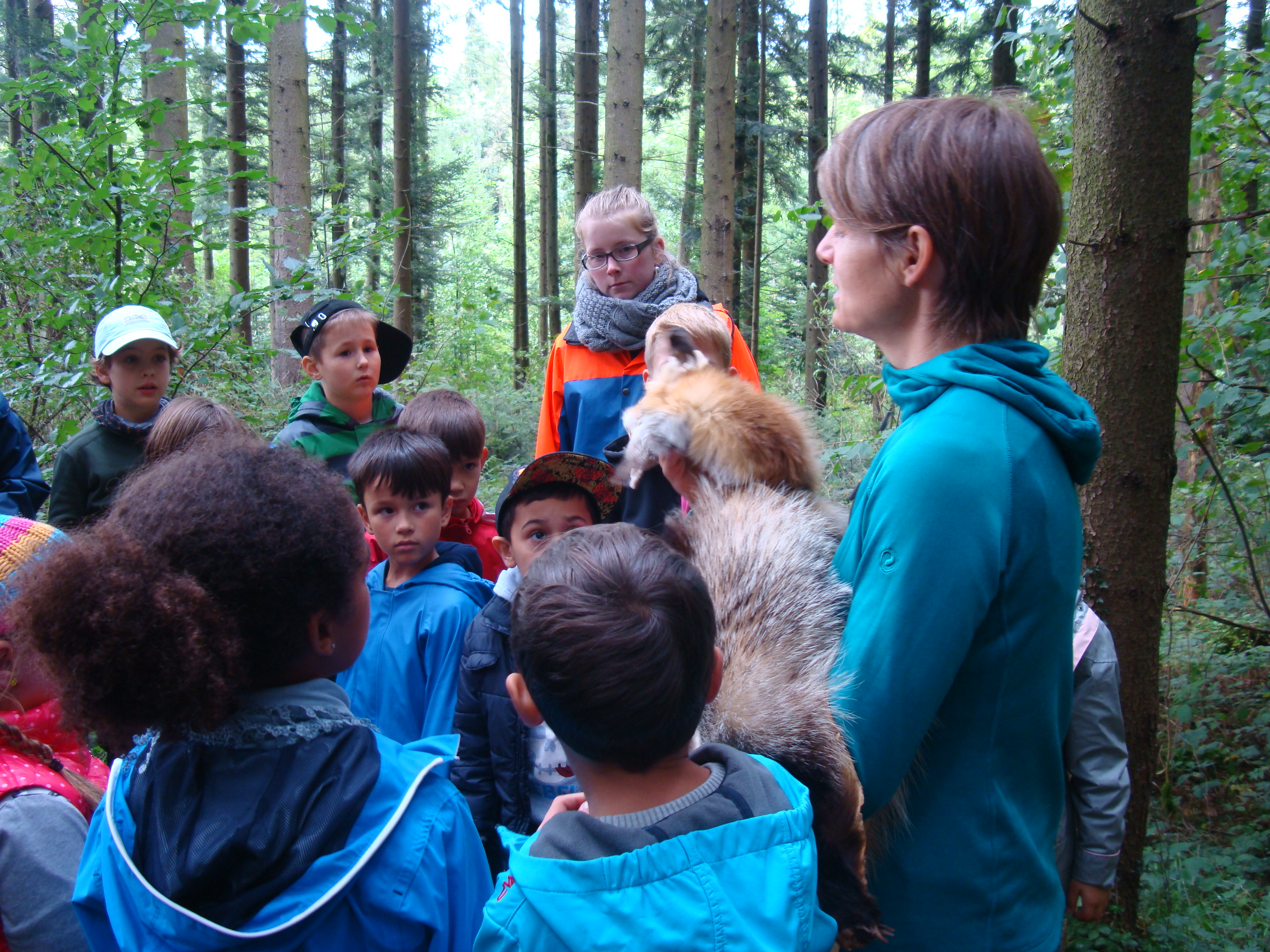 Abenteuer, Wildnis, Bewegung – hier steckt das Potenzial der Waldpädagogik der Zukunft. Bei dem Thema Tierspuren sind die Schüler und Schülerinnen ganz Ohr, wenn Nicole Schwery ihnen ein Fuchsfell, Trittsiegel oder Fuchsbau zeigt