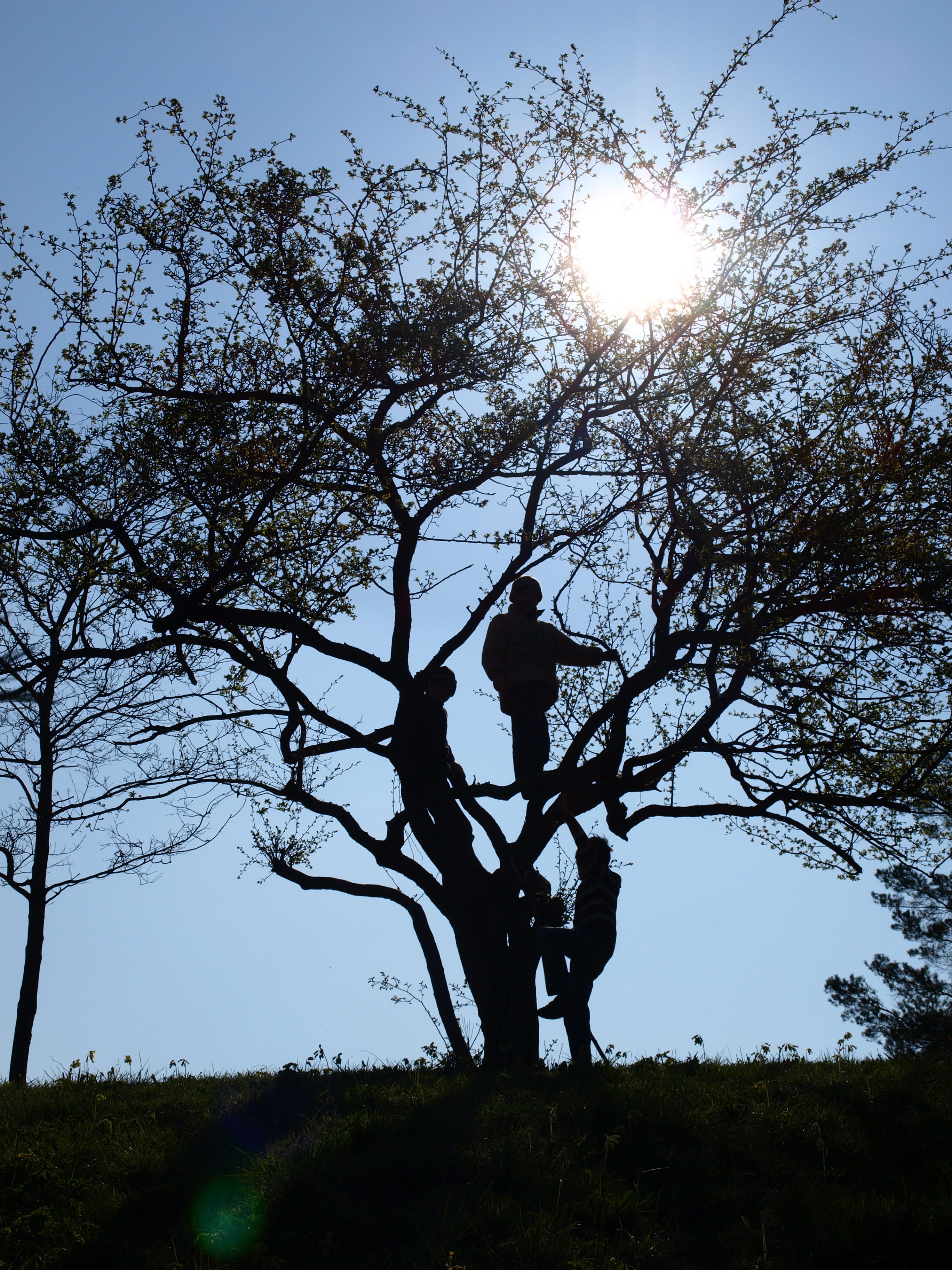 Eintauchen in die Natur, “Eins sein” mit der Natur, damit eine tiefe Naturverbundenheit entstehen kann, das ist Wildnis-, Natur-, oder Waldpädagogik und Natur Mentoring.