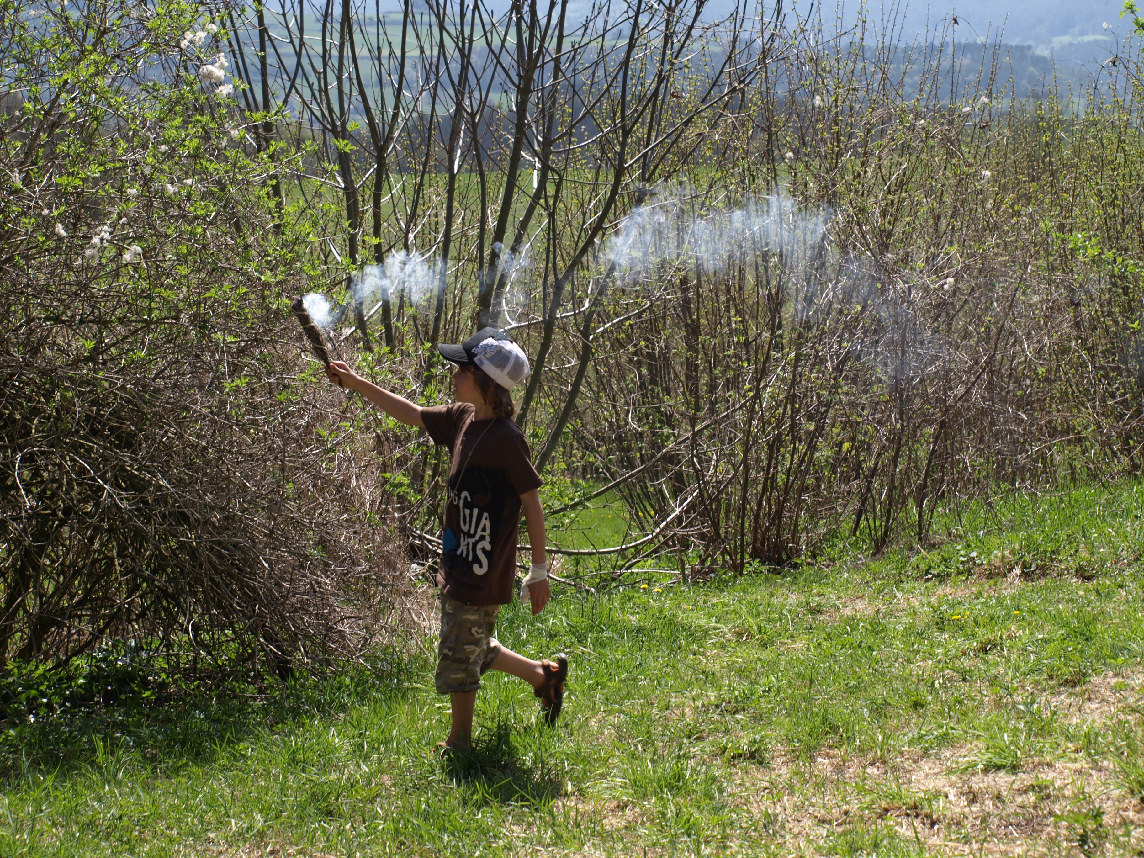 Mit Coyote Teaching wird die Neugierde in dir entzündet, um mehr wissen zu wollen. Man bleibt nicht an der Oberfläche, sondern taucht tiefer in das zu Ergründende hinein. Intuitiv lernt man mit dieser Technik, lösungsorientiertes Lernen.