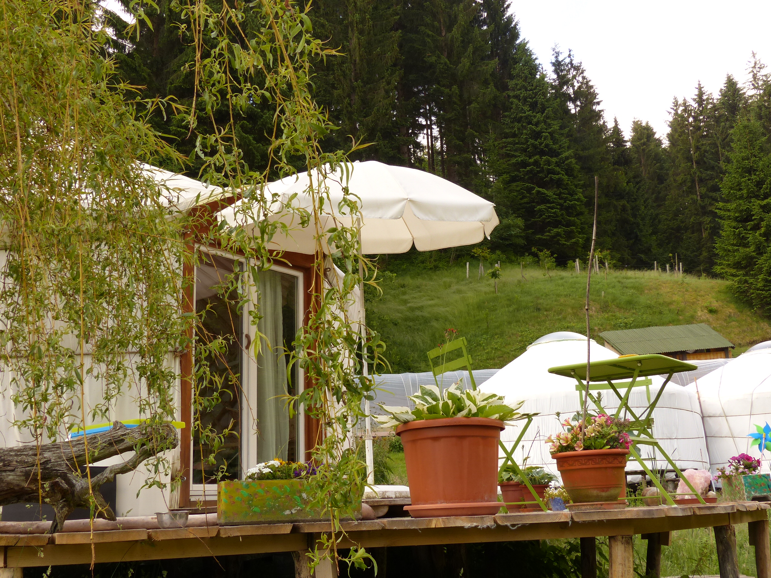 Das Team vom Jurtendorf lebt seinen eigenen
Jurten und hat sich ganz individuell eingerichtet