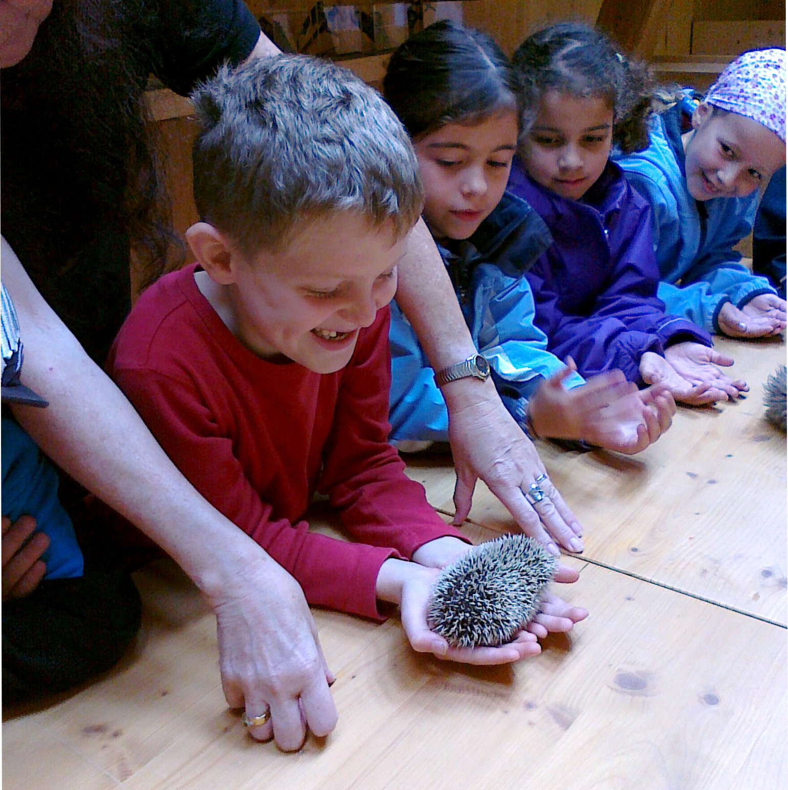 Die Schüler und Schülerinnen erfahren bei den Walderlebnistagen mit der PH Thurgau echte Erfahrungen, wie hier in dem Bild mit einem Igel