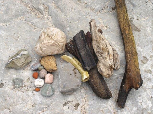 Fundstücke von der Reise nach Rügen von Sabine Simeoni