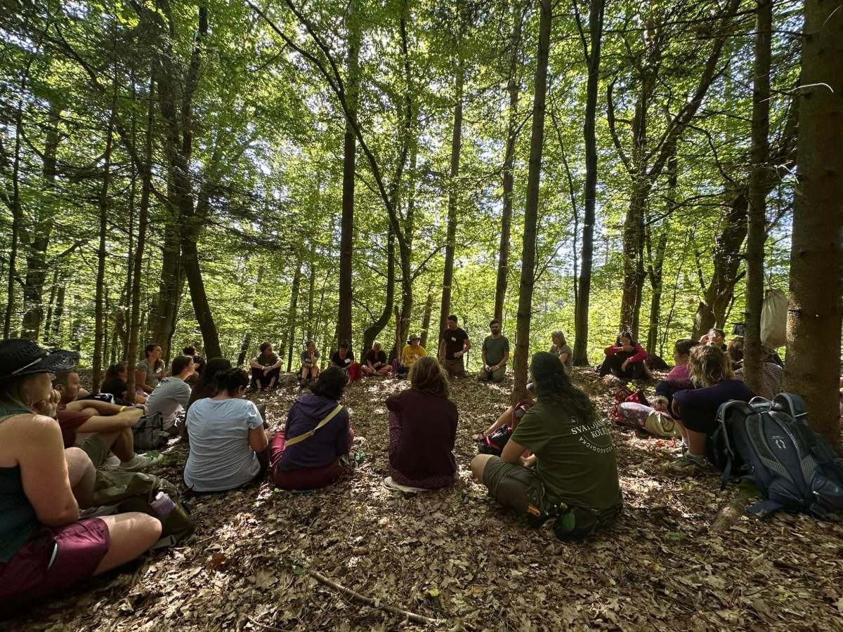 Louti: A place and special meeting point for forest kindergarten enthusiasts from 16&nbsp;countries